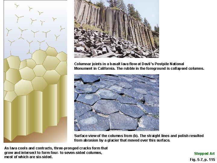 Columnar joints in a basalt lava flow at Devil’s Postpile National Monument in California.