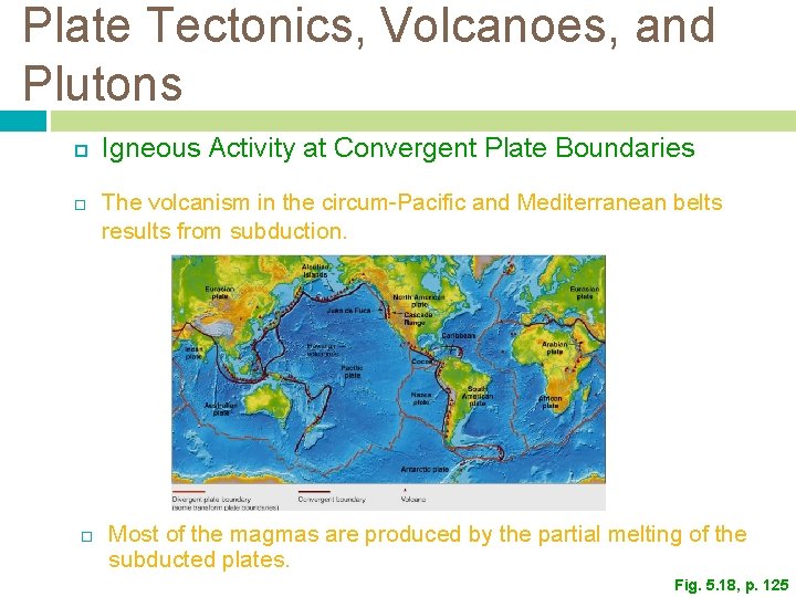 Plate Tectonics, Volcanoes, and Plutons Igneous Activity at Convergent Plate Boundaries The volcanism in
