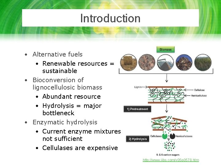 Introduction • Alternative fuels • Renewable resources = sustainable • Bioconversion of lignocellulosic biomass