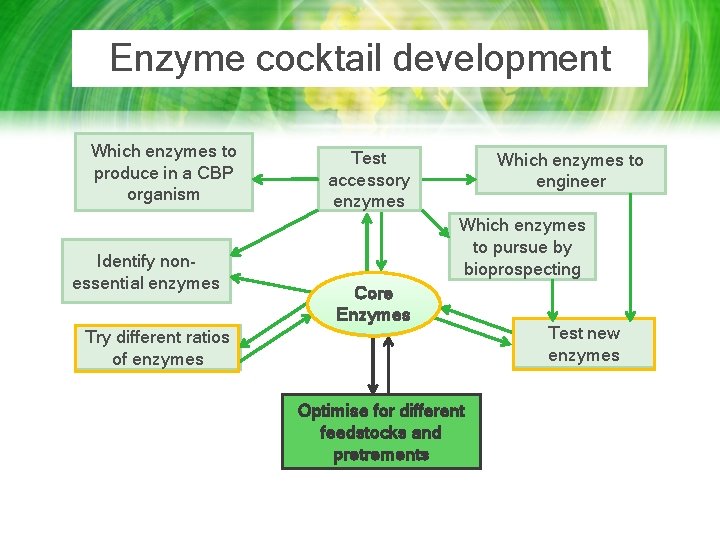 Enzyme cocktail development Which enzymes to produce in a CBP organism Identify nonessential enzymes