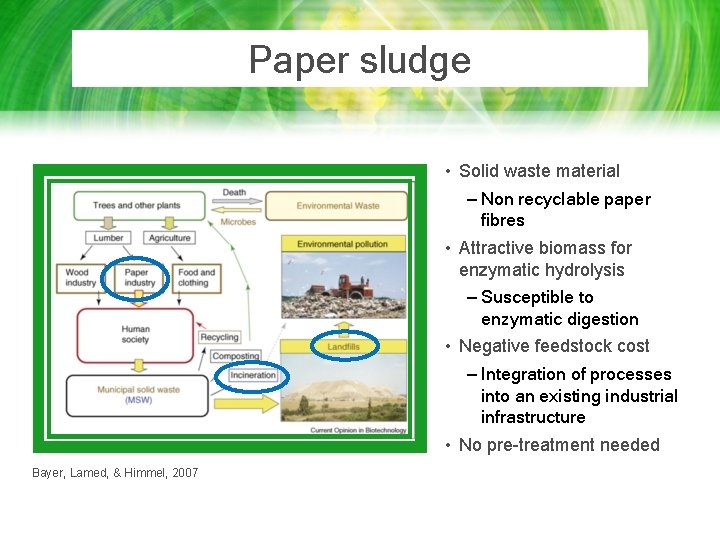 Paper sludge • Solid waste material – Non recyclable paper fibres • Attractive biomass