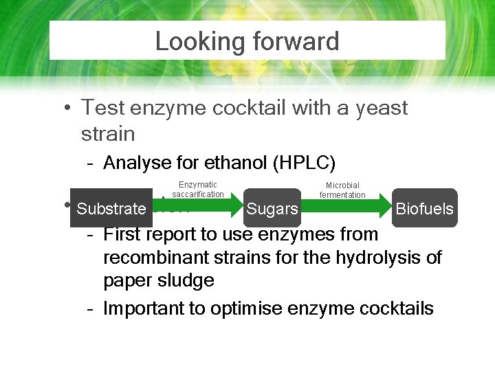 Looking forward • Test enzyme cocktail with a yeast strain – Analyse for ethanol