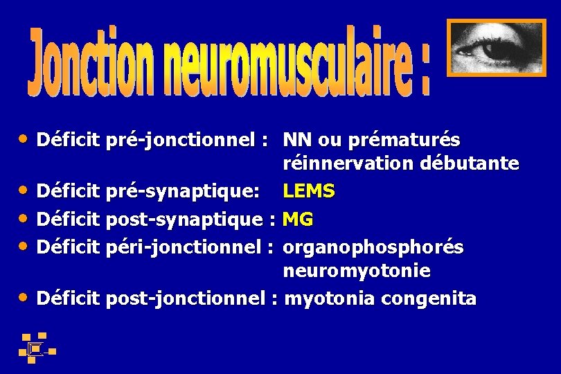  • Déficit pré-jonctionnel : NN ou prématurés • • réinnervation débutante Déficit pré-synaptique: