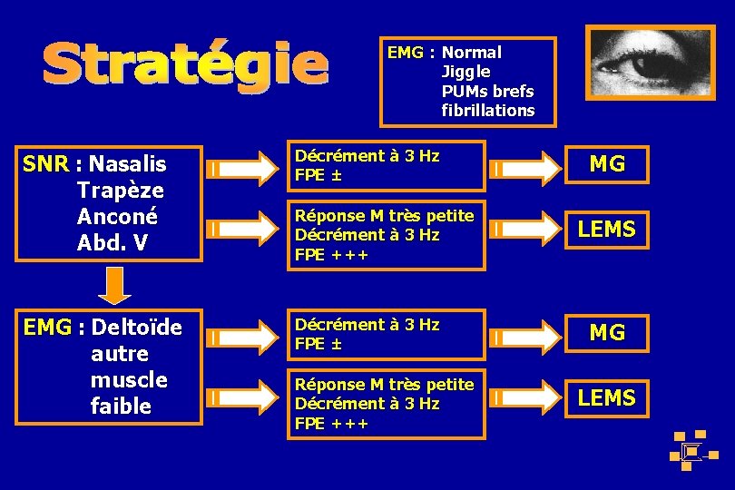 EMG : Normal Jiggle PUMs brefs fibrillations SNR : Nasalis Trapèze Anconé Abd. V