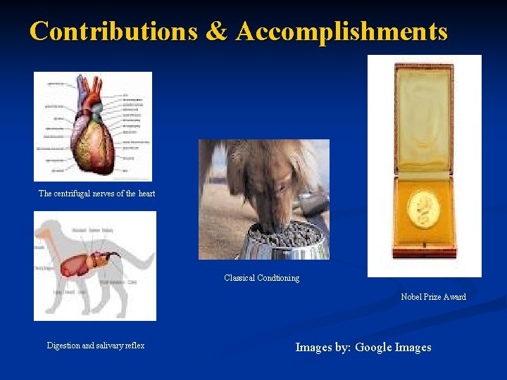 Contributions & Accomplishments The centrifugal nerves of the heart Classical Condtioning Nobel Prize Award