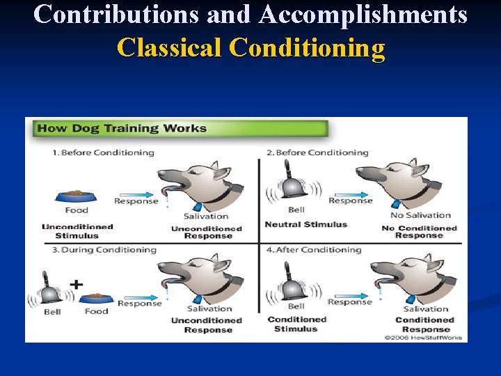 Contributions and Accomplishments Classical Conditioning 