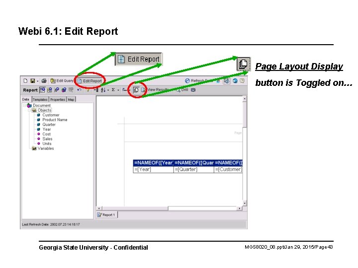 Webi 6. 1: Edit Report Page Layout Display button is Toggled on… Georgia State