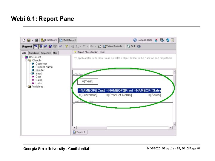 Webi 6. 1: Report Pane Georgia State University - Confidential MGS 8020_08. ppt/Jan 29,