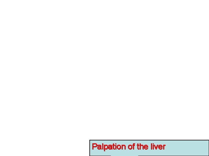 Palpation of the liver 