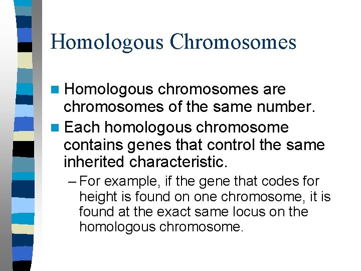 Homologous Chromosomes n Homologous chromosomes are chromosomes of the same number. n Each homologous