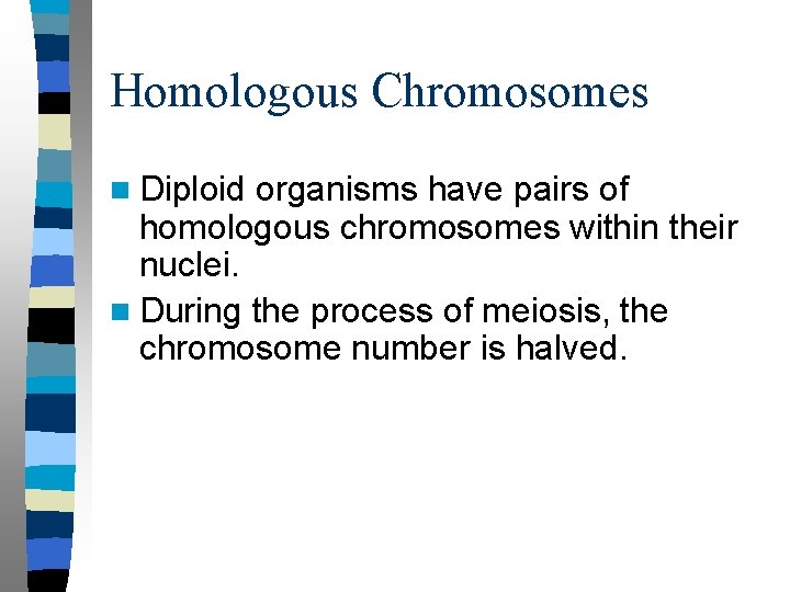 Homologous Chromosomes n Diploid organisms have pairs of homologous chromosomes within their nuclei. n