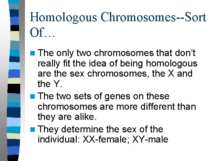 Homologous Chromosomes--Sort Of… n The only two chromosomes that don’t really fit the idea
