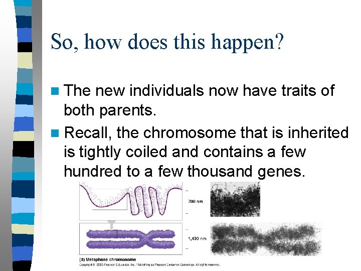 So, how does this happen? n The new individuals now have traits of both
