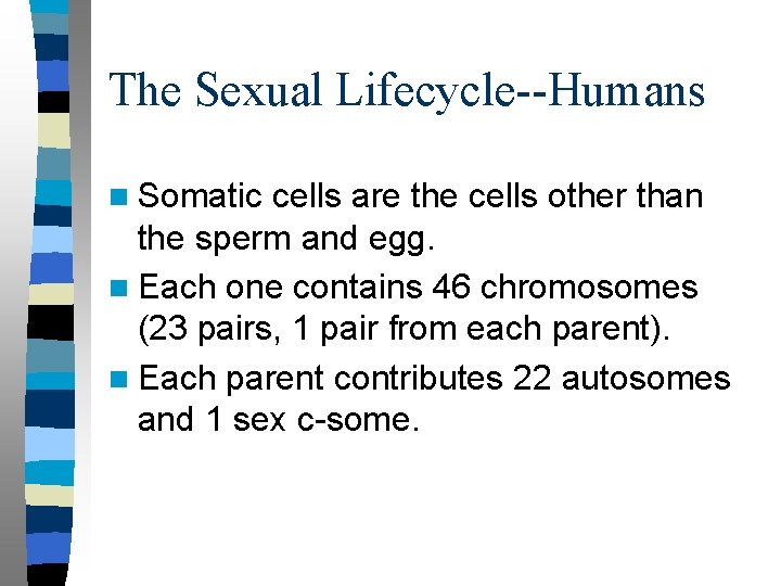 The Sexual Lifecycle--Humans n Somatic cells are the cells other than the sperm and