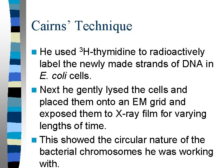 Cairns’ Technique used 3 H-thymidine to radioactively label the newly made strands of DNA