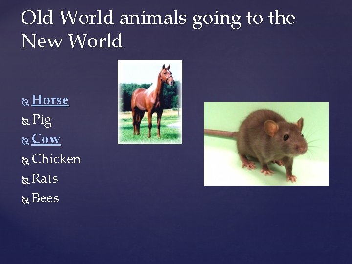 Old World animals going to the New World Horse Pig Cow Chicken Rats Bees