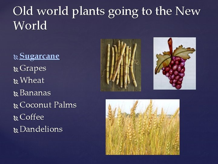 Old world plants going to the New World Sugarcane Grapes Wheat Bananas Coconut Palms