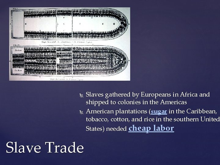  Slave Trade Slaves gathered by Europeans in Africa and shipped to colonies in