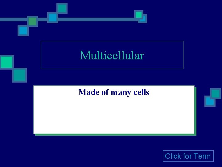 Multicellular Made of many cells Click for Term 