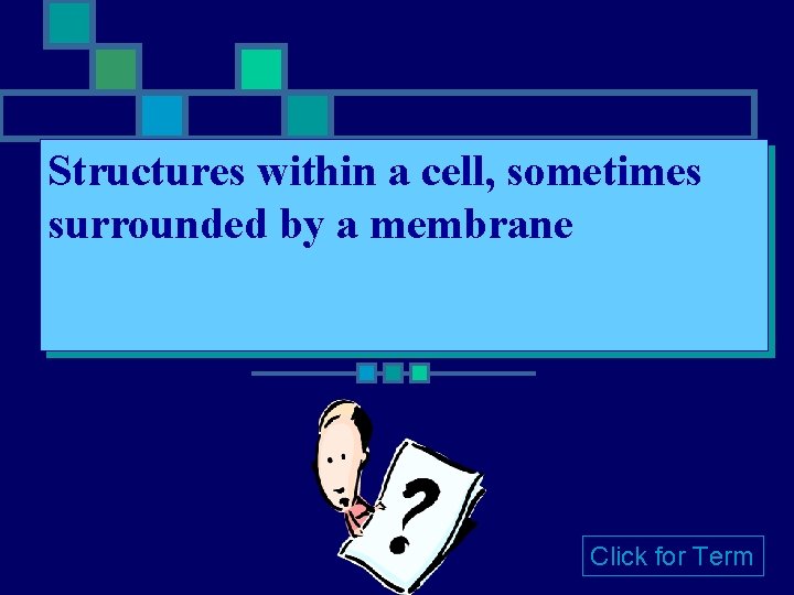 Structures within a cell, sometimes surrounded by a membrane Click for Term 