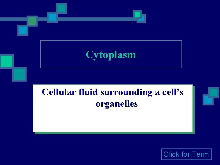 Cytoplasm Cellular fluid surrounding a cell’s organelles Click for Term 