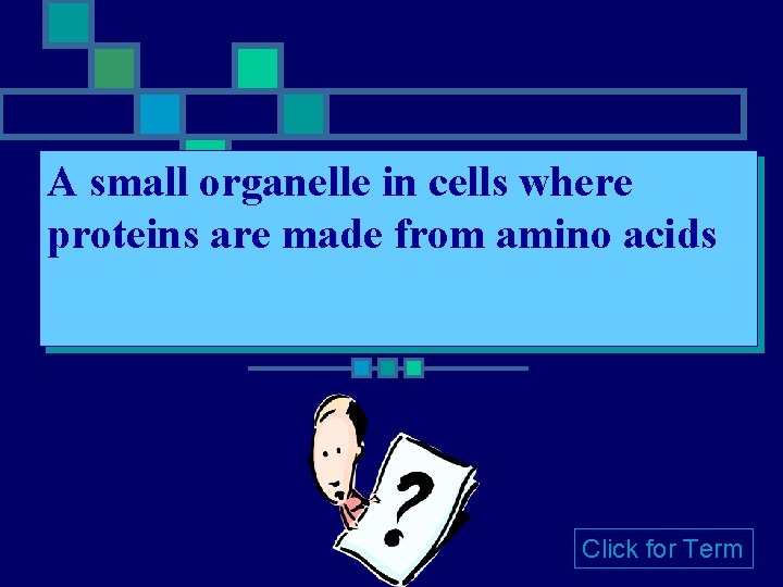 A small organelle in cells where proteins are made from amino acids Click for