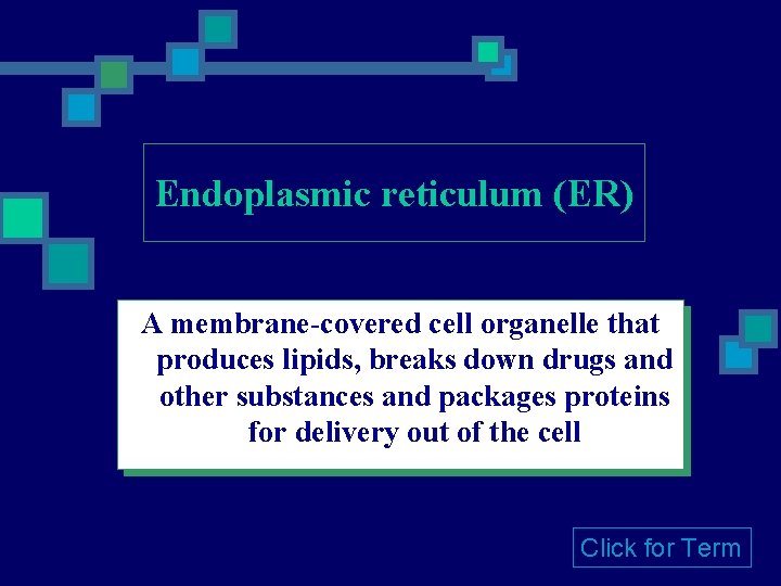 Endoplasmic reticulum (ER) A membrane-covered cell organelle that produces lipids, breaks down drugs and