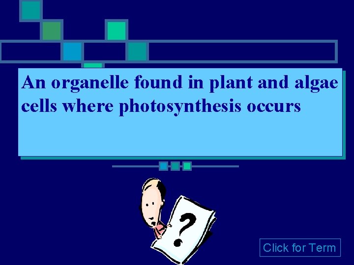 An organelle found in plant and algae cells where photosynthesis occurs Click for Term