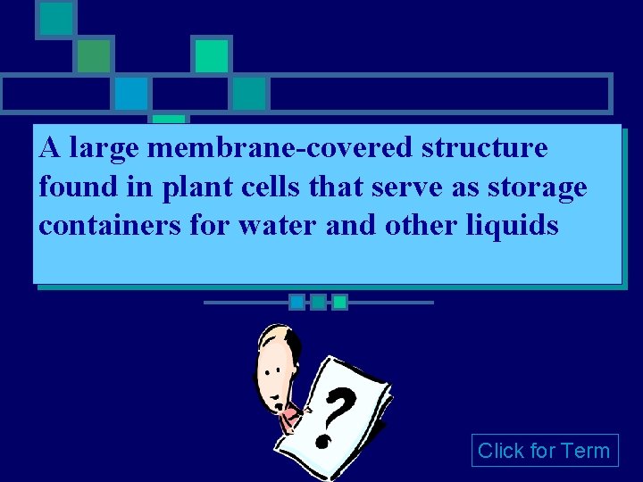 A large membrane-covered structure found in plant cells that serve as storage containers for