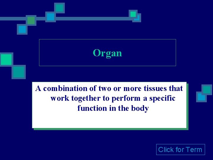 Organ A combination of two or more tissues that work together to perform a