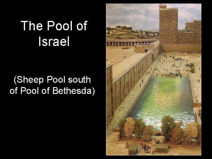 The Pool of Israel (Sheep Pool south of Pool of Bethesda) 