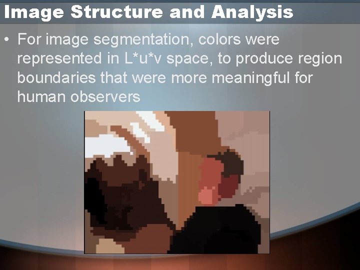 Image Structure and Analysis • For image segmentation, colors were represented in L*u*v space, Image Structure and Analysis • For image segmentation, colors were represented in L*u*v space,