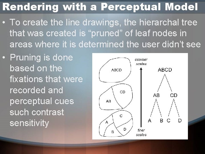 Rendering with a Perceptual Model • To create the line drawings, the hierarchal tree Rendering with a Perceptual Model • To create the line drawings, the hierarchal tree