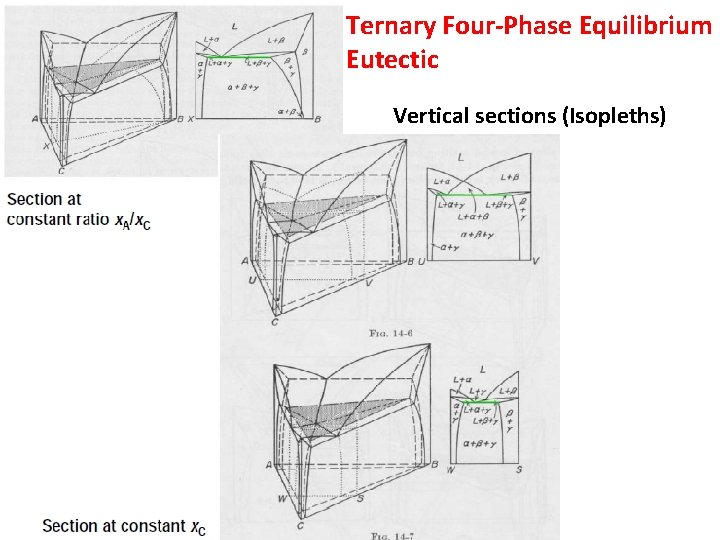 Ternary Four-Phase Equilibrium Eutectic Vertical sections (Isopleths) 
