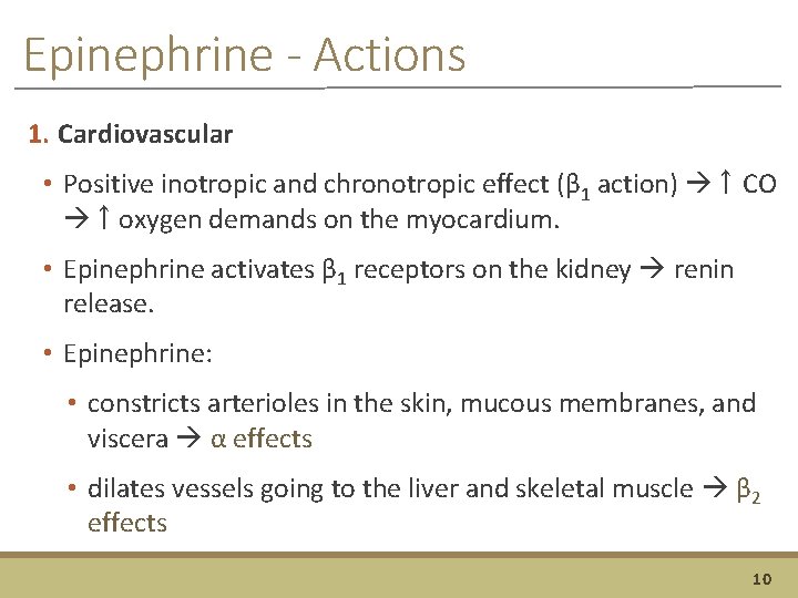 Epinephrine - Actions 1. Cardiovascular • Positive inotropic and chronotropic effect (β 1 action)