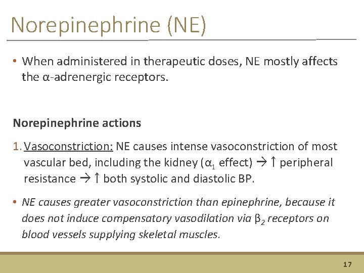 Norepinephrine (NE) • When administered in therapeutic doses, NE mostly affects the α-adrenergic receptors.