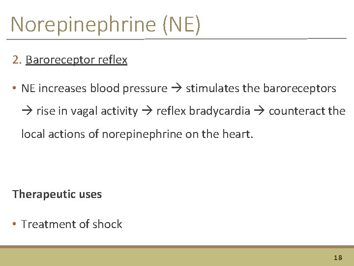 Norepinephrine (NE) 2. Baroreceptor reflex • NE increases blood pressure stimulates the baroreceptors rise