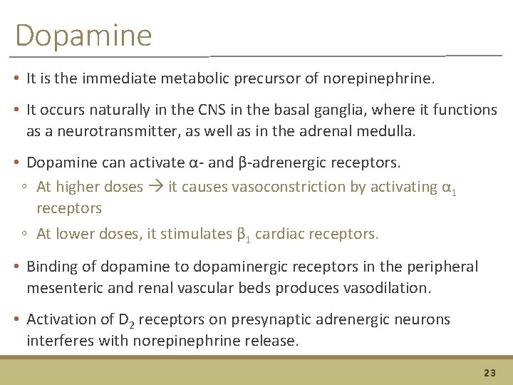 Dopamine • It is the immediate metabolic precursor of norepinephrine. • It occurs naturally