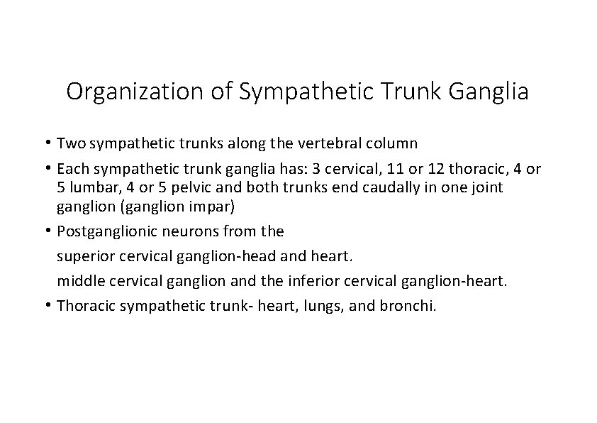 Organization of Sympathetic Trunk Ganglia • Two sympathetic trunks along the vertebral column •