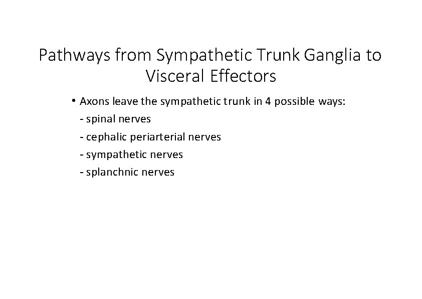 Pathways from Sympathetic Trunk Ganglia to Visceral Effectors • Axons leave the sympathetic trunk
