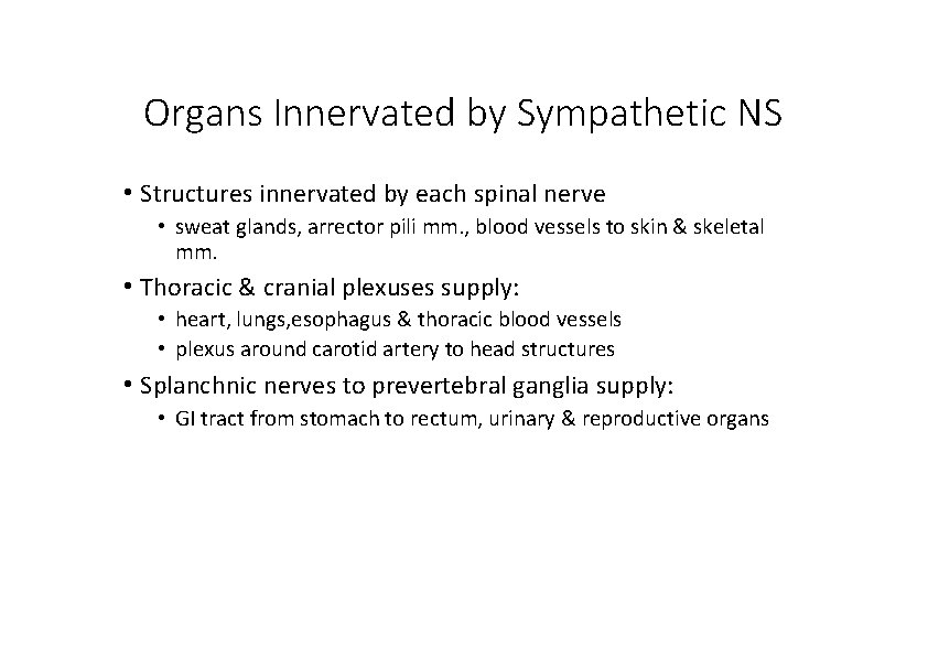 Organs Innervated by Sympathetic NS • Structures innervated by each spinal nerve • sweat