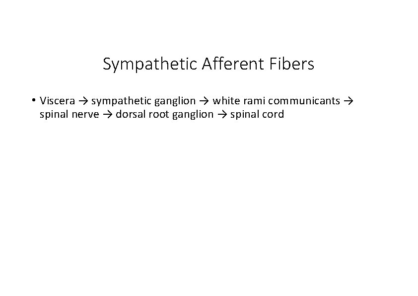 Sympathetic Afferent Fibers • Viscera → sympathetic ganglion → white rami communicants → spinal