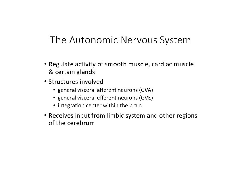 The Autonomic Nervous System • Regulate activity of smooth muscle, cardiac muscle & certain