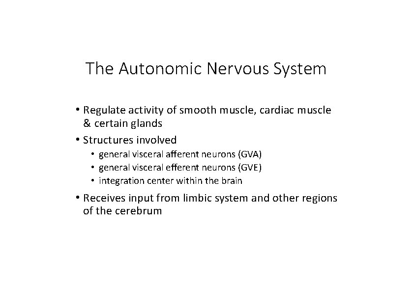 The Autonomic Nervous System • Regulate activity of smooth muscle, cardiac muscle & certain