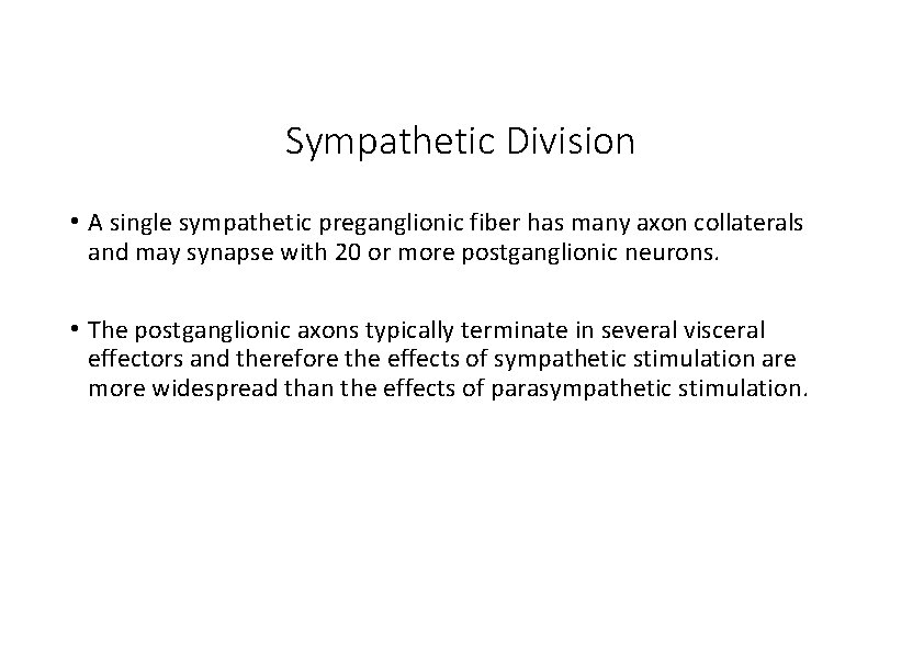 Sympathetic Division • A single sympathetic preganglionic fiber has many axon collaterals and may