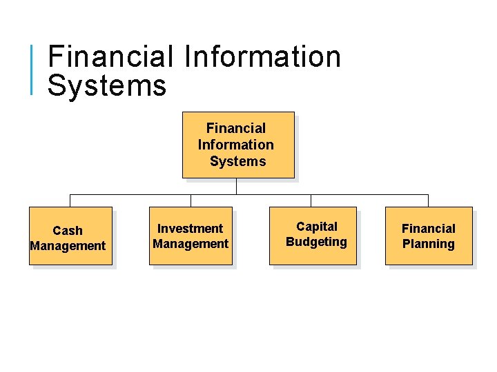 Financial Information Systems Cash Management Investment Management Capital Budgeting Financial Planning 