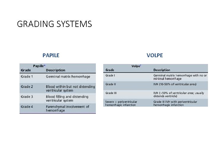 GRADING SYSTEMS PAPILE VOLPE 