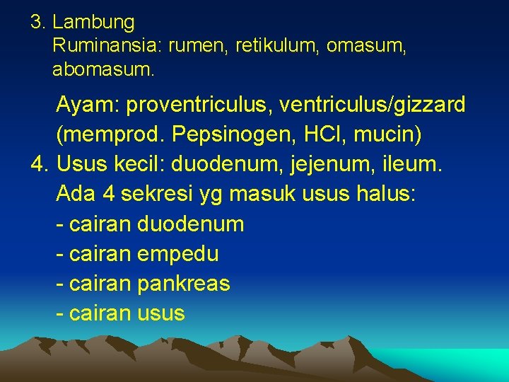 3. Lambung Ruminansia: rumen, retikulum, omasum, abomasum. Ayam: proventriculus, ventriculus/gizzard (memprod. Pepsinogen, HCl, mucin)