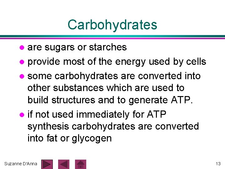 Carbohydrates are sugars or starches l provide most of the energy used by cells Carbohydrates are sugars or starches l provide most of the energy used by cells
