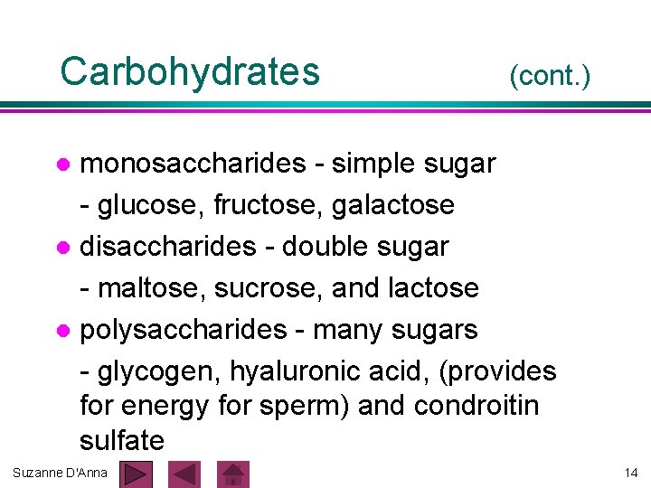 Carbohydrates (cont. ) monosaccharides - simple sugar - glucose, fructose, galactose l disaccharides - Carbohydrates (cont. ) monosaccharides - simple sugar - glucose, fructose, galactose l disaccharides -